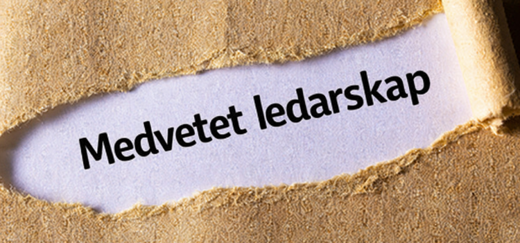 Affärsmanaskapets ABC – Bokstaven M