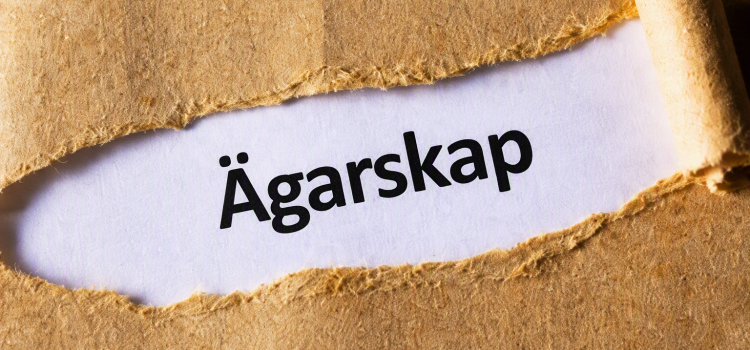 Affärsmannaskapets ABC – Ägarskap